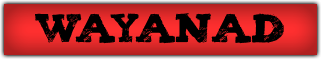 WAYANAD