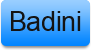 Badini